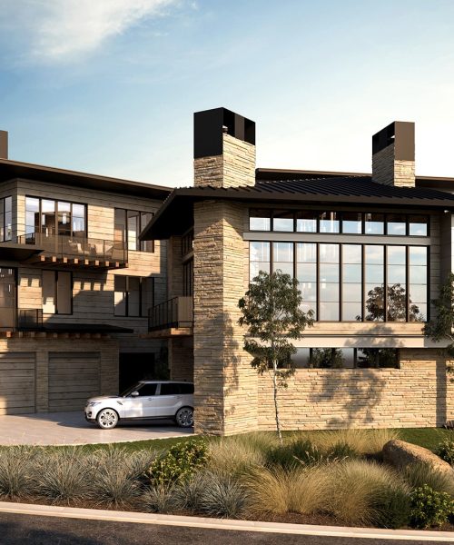 single-family-Bald-Eagle